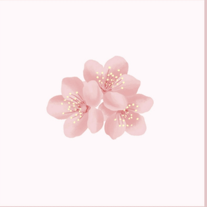 正在播放丰满老熟女
