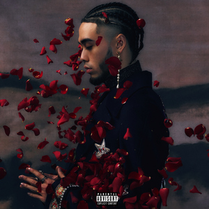 正在播放丰满老熟女
