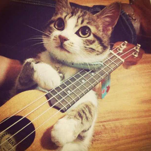 正在播放丰满老熟女
