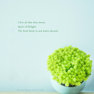 正在播放丰满老熟女
