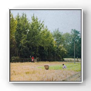 正在播放丰满老熟女
